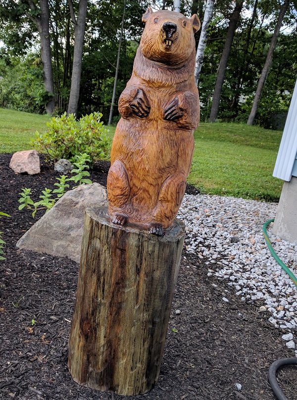 groundhog wood carving